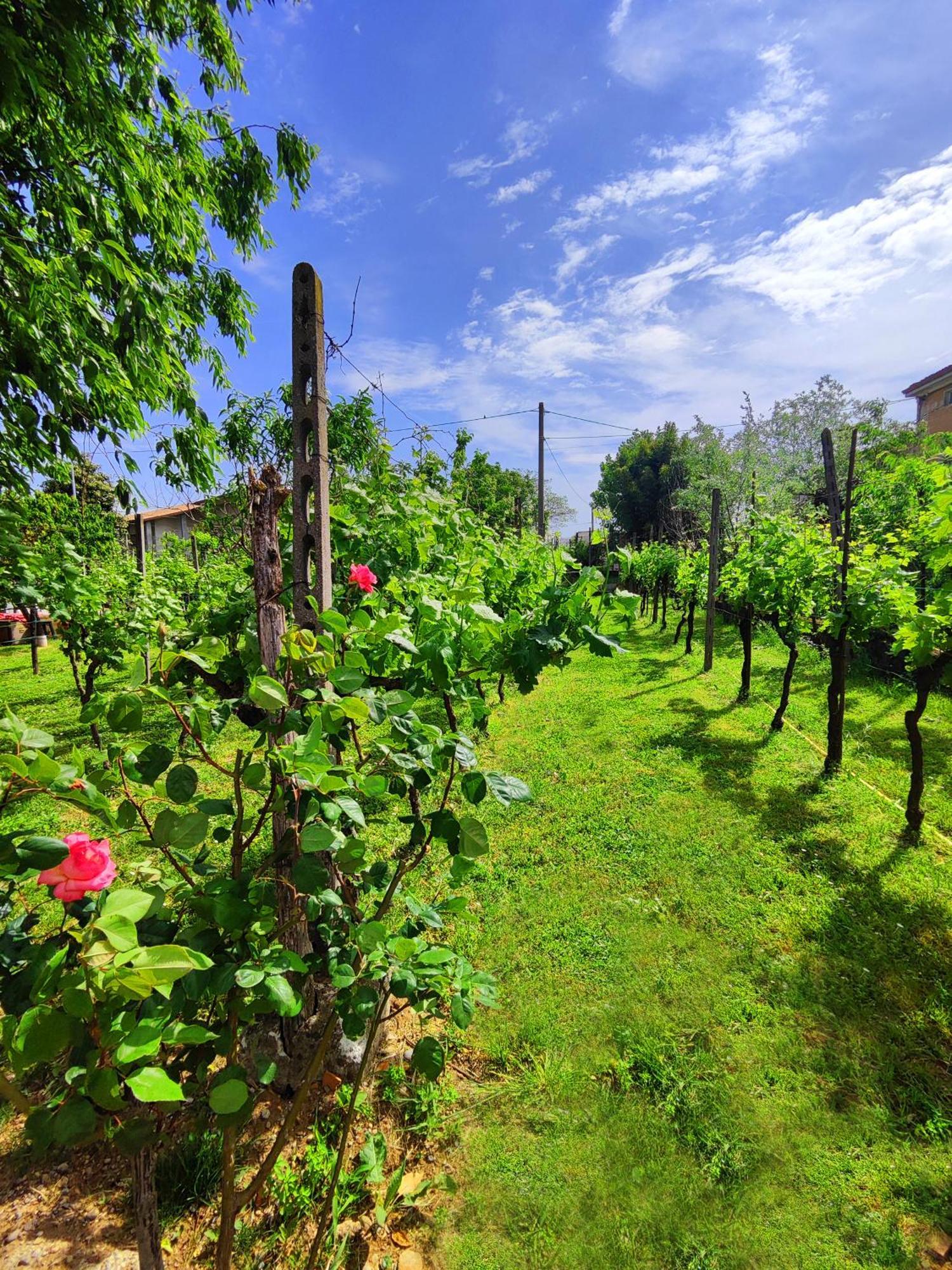 몬티키아리 Garda Relais Antica Romelia B&B 외부 사진