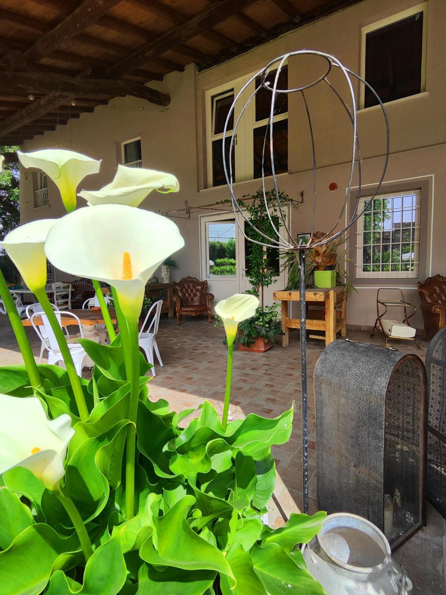 몬티키아리 Garda Relais Antica Romelia B&B 외부 사진