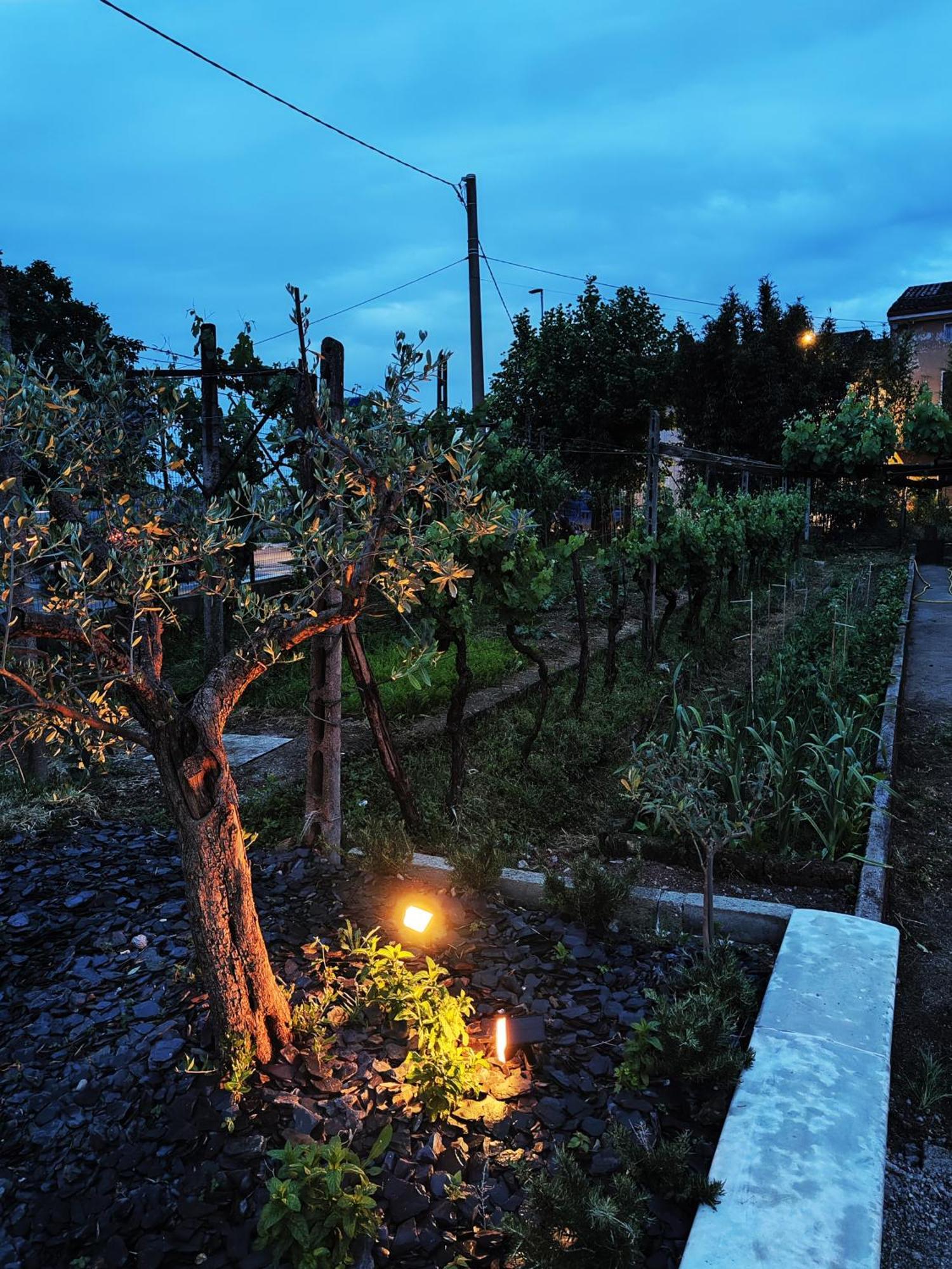 몬티키아리 Garda Relais Antica Romelia B&B 외부 사진